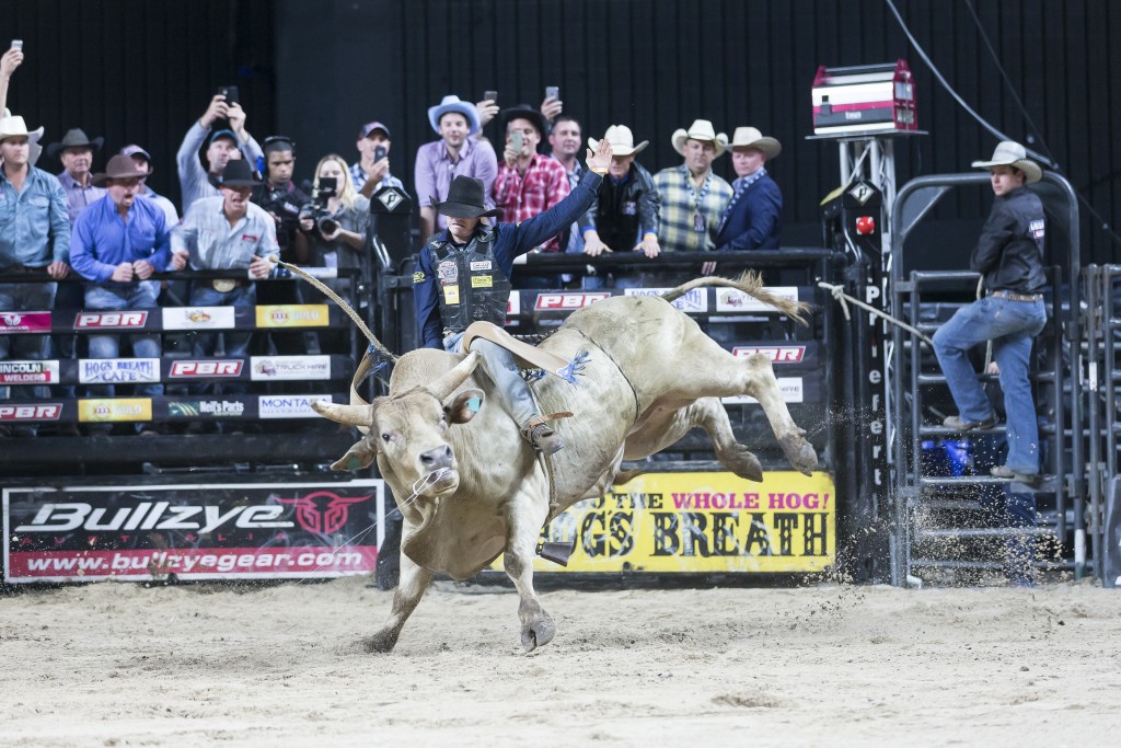 Cody Heffernan on Rollin Deep for 85.5 points in round 2 of the PBR Australian National Finals at the Qantas Credit Union Arena