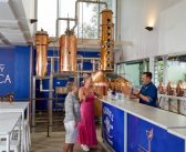 Distillery Botanica opens new cellar door and range of experiences